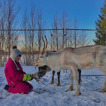 Beautiful rural experience with reindeer Villa Tervola Exterior foto
