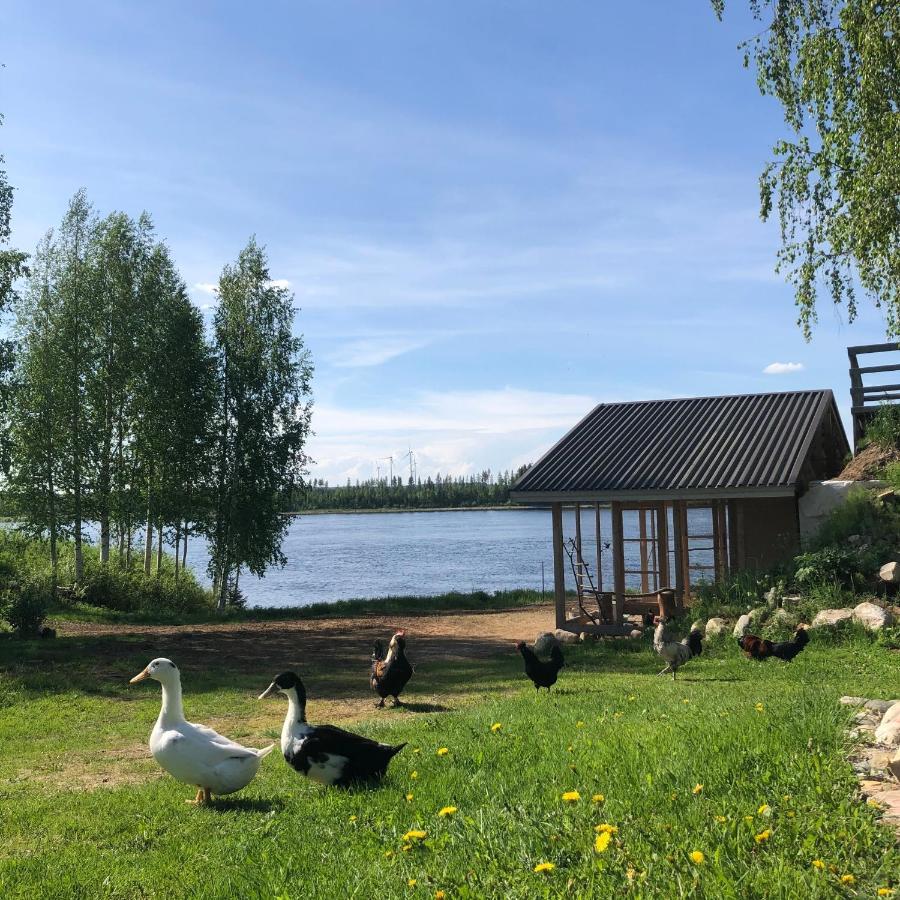 Beautiful rural experience with reindeer Villa Tervola Exterior foto