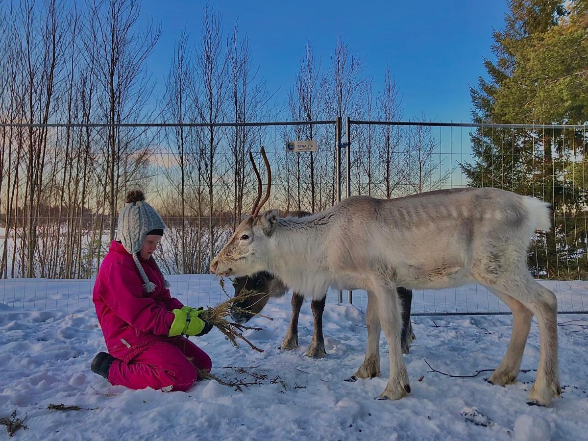 Beautiful rural experience with reindeer Villa Tervola Exterior foto
